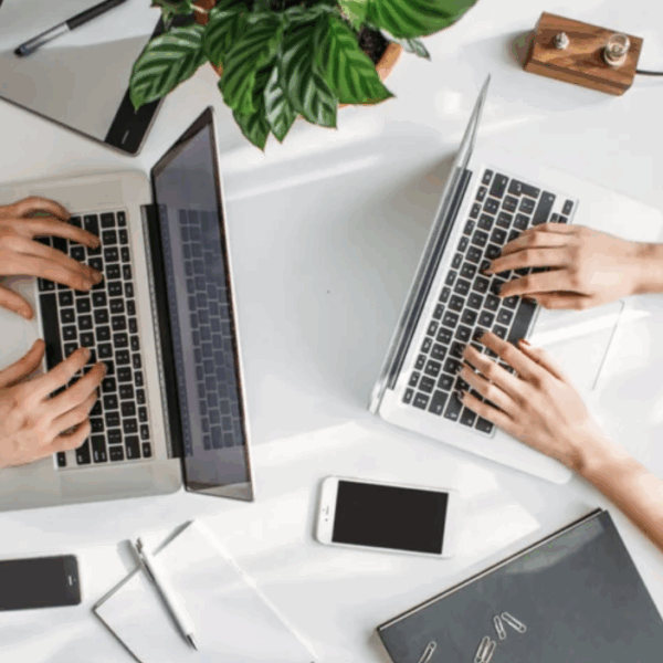 working environment two people using computers