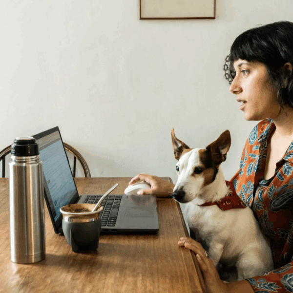 A woman holding her dog on her lap typing computer at her desk
