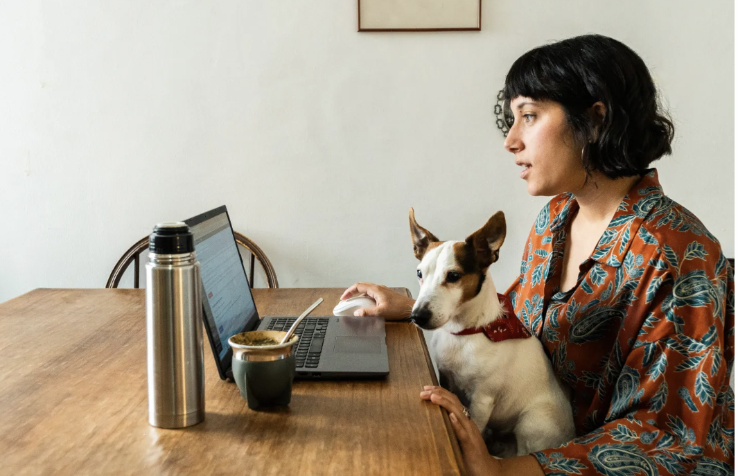 A woman holding her dog on her lap typing computer at her desk